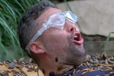 I'm A Celeb Fans Demand Tougher Bushtucker Trials
