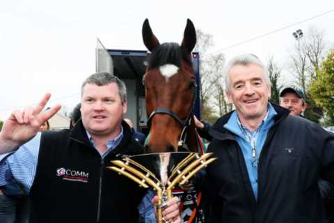 Bombshell rule change to rock horse racing as UK targets Irish trainers Willie Mullins and Gordon..