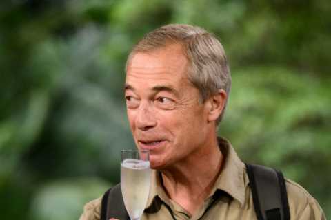Nigel Farage Reveals Real Reason for Stripping off in Jungle Show