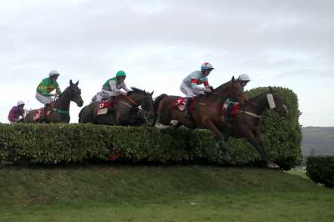 Tragic Loss: Star Horse Put Down After Devastating Injury at Cheltenham Races