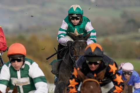 Owner's Revenge? Fugitif Favored to Win Big at Cheltenham