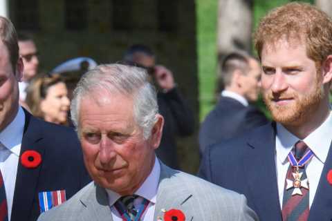 Prince Harry Won't Spend Christmas with Charles or William After Endgame Drama