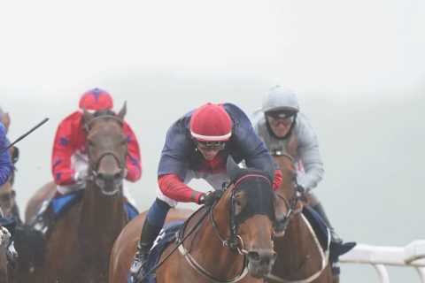 I’m a Baker at Morrisons who Turned £2.50 into £29,000 but My Girlfriend’s the One Laughing after I ..