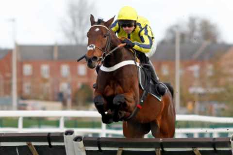 Nicky Henderson Picks Next Target for Top Novice Willmount but Slams Decision to Move Tolworth..