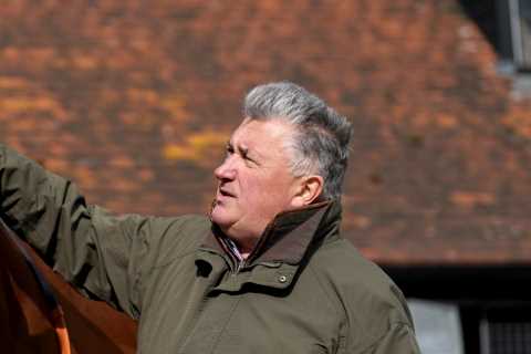 Excitement Builds for King George VI Chase on Boxing Day