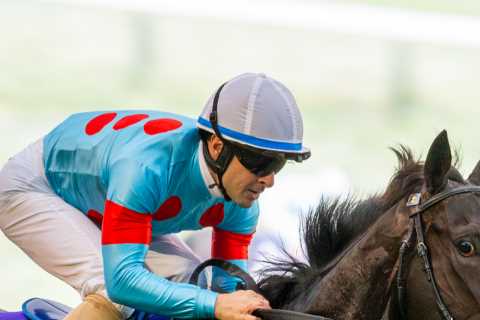 Equinox Crowned World's Greatest Horse as He Adds Another Award to the Trophy Cabinet