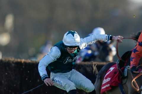 Punters Excited for Monster 76-Race Boxing Day Card