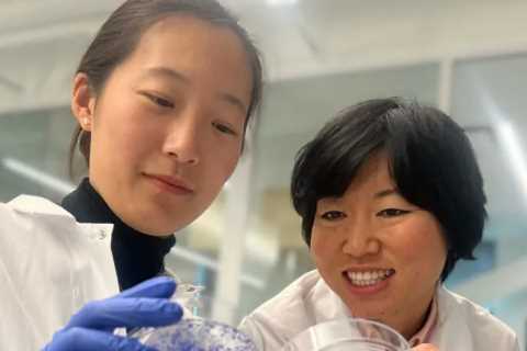Breast Cancer Breakthrough: Scientists Discover Critical 'Off Switch' to Stop Tumour Spread