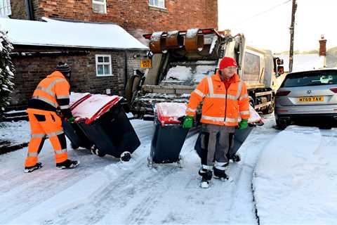 Christmas Bin Collection Rules and Dates Explained – Avoid Costly Fines