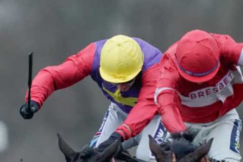 Crambo Stuns Ascot Crowd with Victory in Long Walk Hurdle