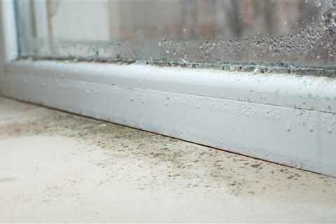 Shoppers Go Crazy for 35p Item that Eliminates Window Mould in Just One Hour