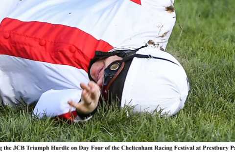 My Boxing Day Runners and Hopes for the Future