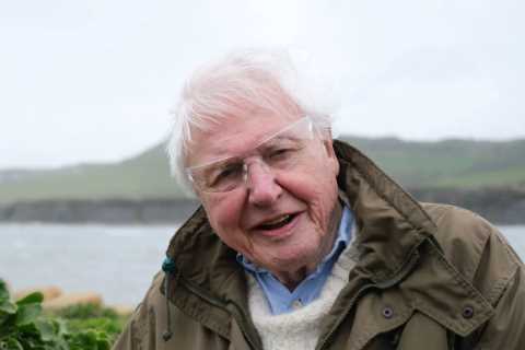 Attenborough Unveils Ancient Sea Monster in New BBC Documentary