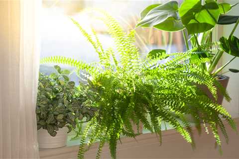 Get Rid of Condensation and Decorate Your Home with This Simple Trick