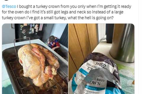 Christmas Shoppers Furious as Turkeys Arrive with Necks Intact