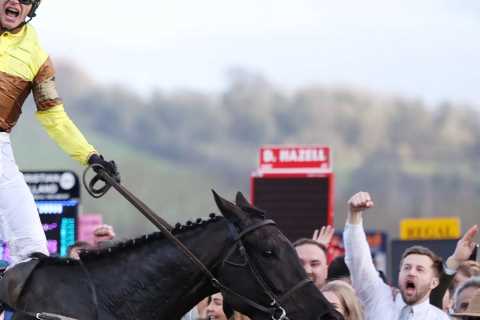 Templegate’s Top Cheltenham Festival Contenders: 10-1 and 8-1 Ante-Post Eyecatchers