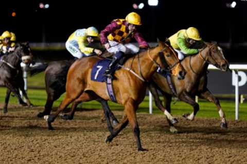 Racing Punter Wins £47,000 Despite Losing Bet