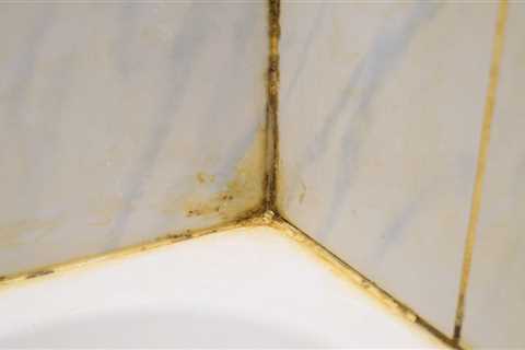 Common Bathroom Mistake Could Lead to Mould and Costly Repairs
