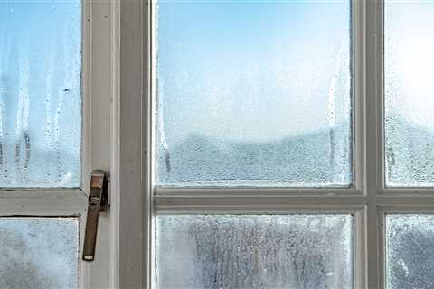 How to Avoid Mould in Your Home, According to a Window Fitter