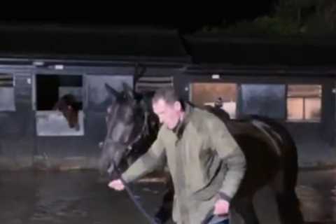 Champion Trainer Paul Nicholls Evacuates Horses Amid Flash Flood at Ditcheat Stables