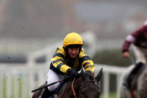 Climate Change and Horse Racing: Is it Time for All-Weather Jumping?