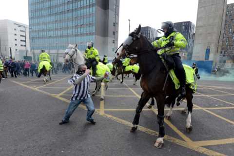 Newcastle Fan Who Punched a Horse Receives Jail Time and Football Ban