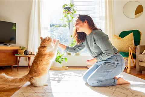 From a cat suffering with arthritis to choosing the right dog for you – your pet queries answered