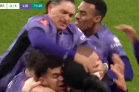Liverpool Players Hilariously Slap Pitch Invader During Goal Celebrations