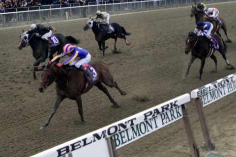 Tragedy Strikes: Two Horses Killed in Horrific Head-On Collision at Belmont Park Racecourse