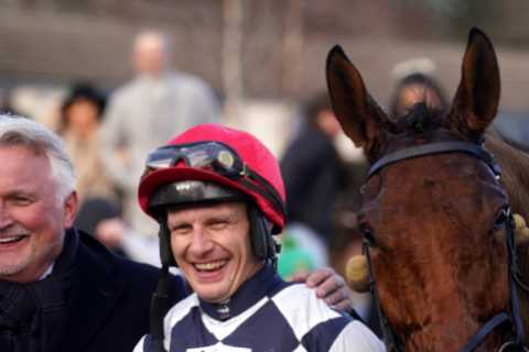 Willie Mullins' Horse Experiences Price Collapse at Cheltenham Festival