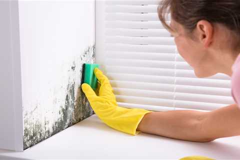 Landlords who ignore hazardous mould for over 24 hours to pay compensation