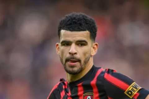 Newcastle Reportedly Makes Move for Bournemouth Striker Dominic Solanke