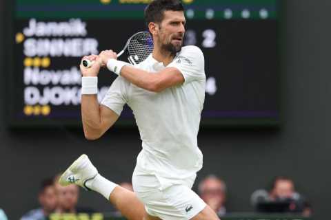 Novak Djokovic's Net Worth in 2024: Prize Money, Career Winnings, and Sponsorship Deals