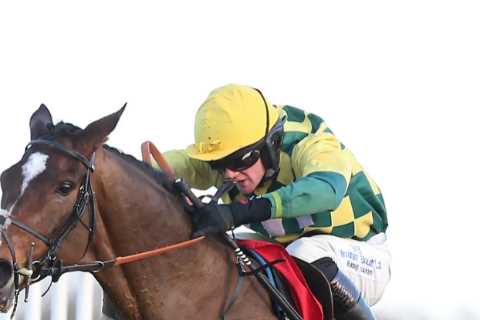 Cracking Nick: A Horse Racing Tale in the Lanzarote Hurdle