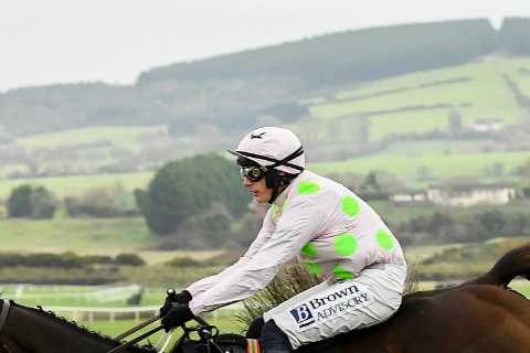 Beware the Willie Mullins Cheltenham Festival ‘banker’ who’s bound to let you down
