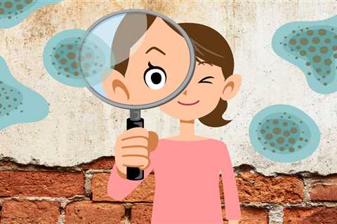 Five little-known ways to detect hidden mould in your home