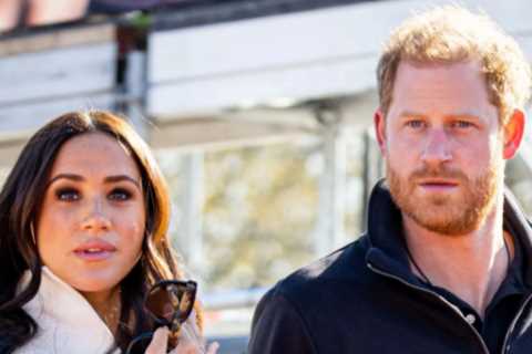 Prince Harry and Meghan Markle Facing a 'Make or Break Year', Warns Hollywood Executive