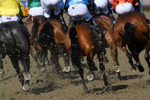 Lucky Punter Takes Home £18,000 with Sensational Treble Win