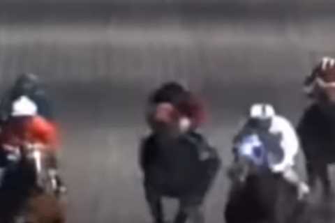 Jockey Tragically Dies After Being Trampled by Horses in Horrific Race Accident