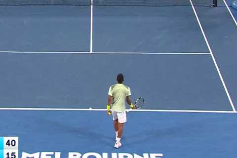 Naughty Seagull Hilariously Interrupts Two Australian Open Matches