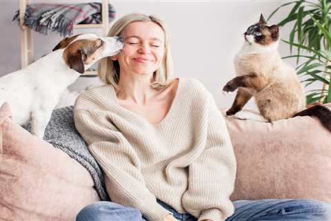 Six tips to help you save on pet expenses without compromising your furry friend's happiness