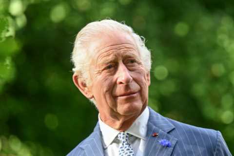 King Charles' True Feelings About Prince Harry Revealed
