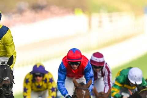 Why a Simple Tweak of Whip Rules in Horse Racing Makes Perfect Sense