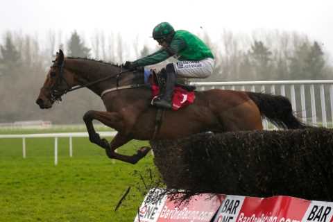 Willie Mullins' El Fabiolo Drifts in Clarence House Chase Market, Punters Fear Jonbon Walkover