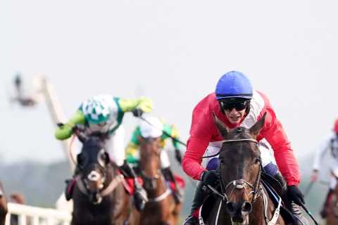 'All systems go' for electrifying Thurles card set to feature key Cheltenham Festival hopes..