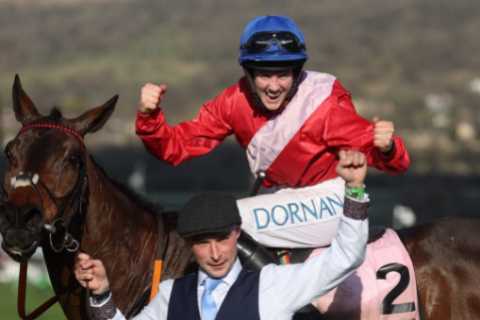 Emotional Retirement for Gold Cup Winner A Plus Tard