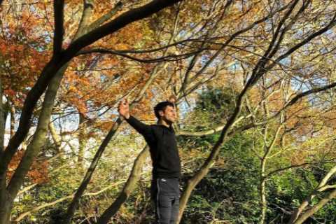 Novak Djokovic Reveals 15-Year Love Affair with Tree That Inspires His Australian Open Success