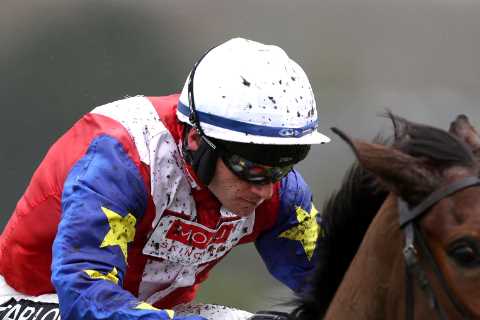 Newbury and Cheltenham: Big Plans for Trials Day