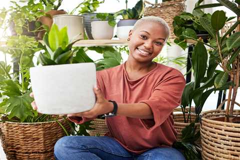 Five Tips for Creating an Indoor Garden on a Budget