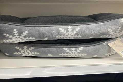 B&amp;M Shoppers are Raving About £1 ‘Fab Find’ That’s Perfect for Pet Owners